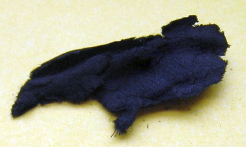 File:Char cloth.jpg