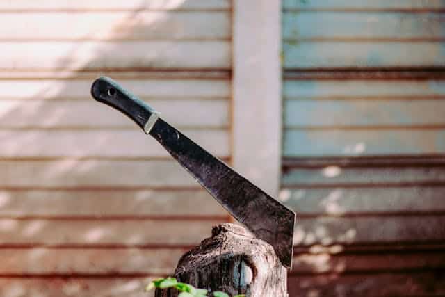 Close up of a Machete