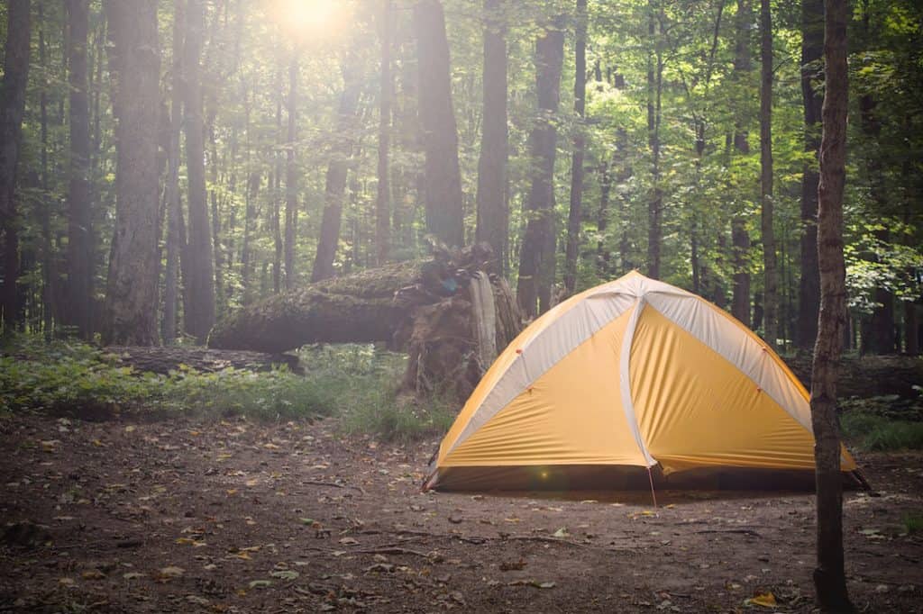 Tent in a forest
