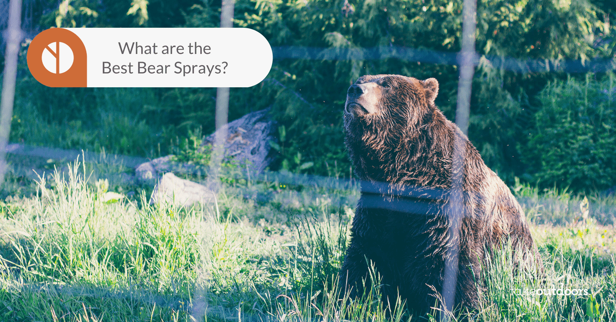 Featured Image for Best Bear Spray On The Market