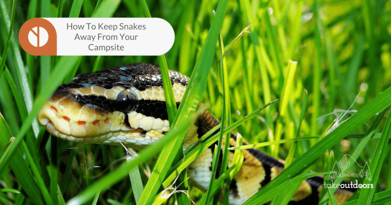 How to Keep Snakes Away from Your Campsite