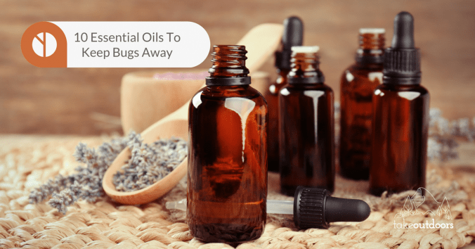 Featured Image Of Essential Oils To Keep Bugs Away