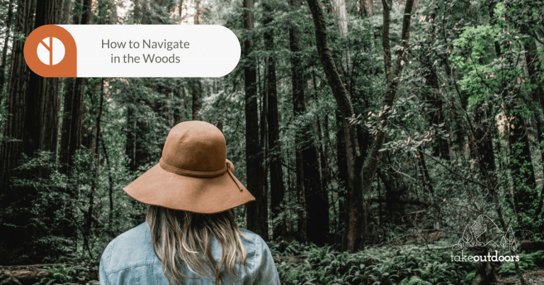 Image of a hiker looking at a dense forest